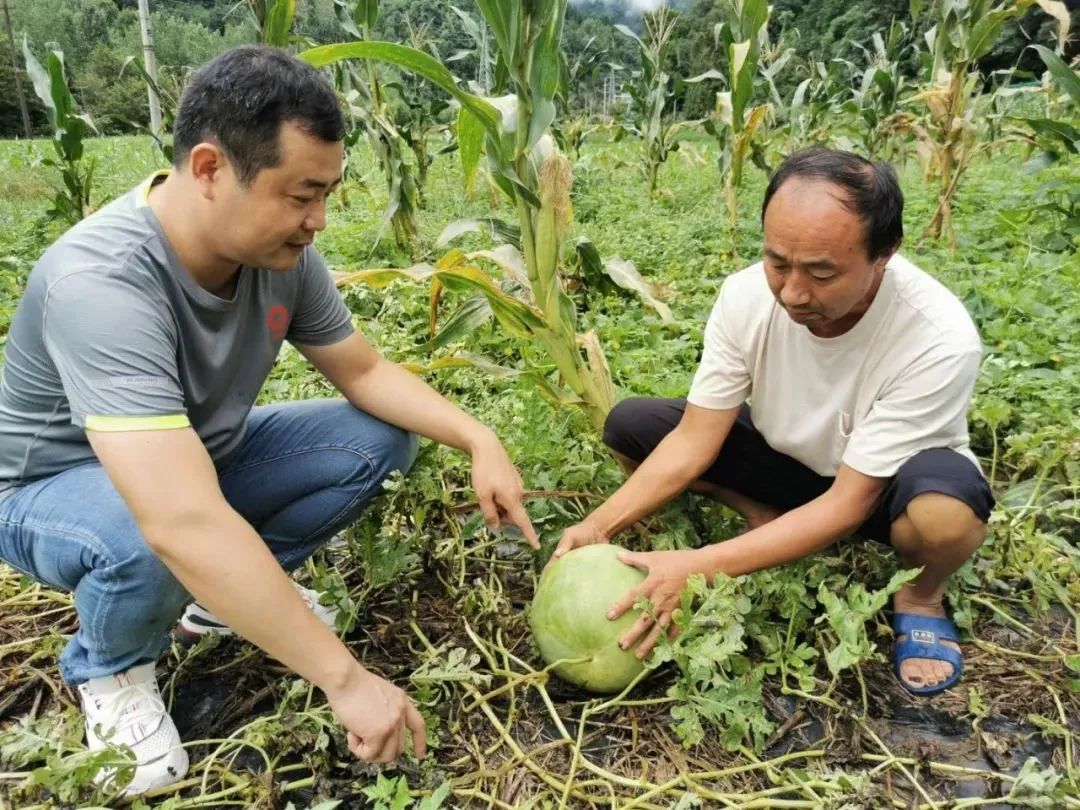 20220708094418122 letou乐投(LETOU)官方网站 - 值得信任的娱乐品牌