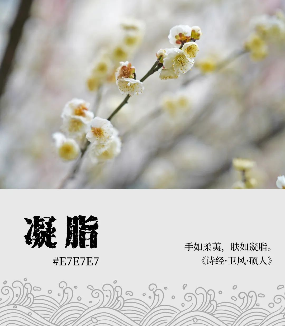 20230301092655597 letou乐投(LETOU)官方网站 - 值得信任的娱乐品牌