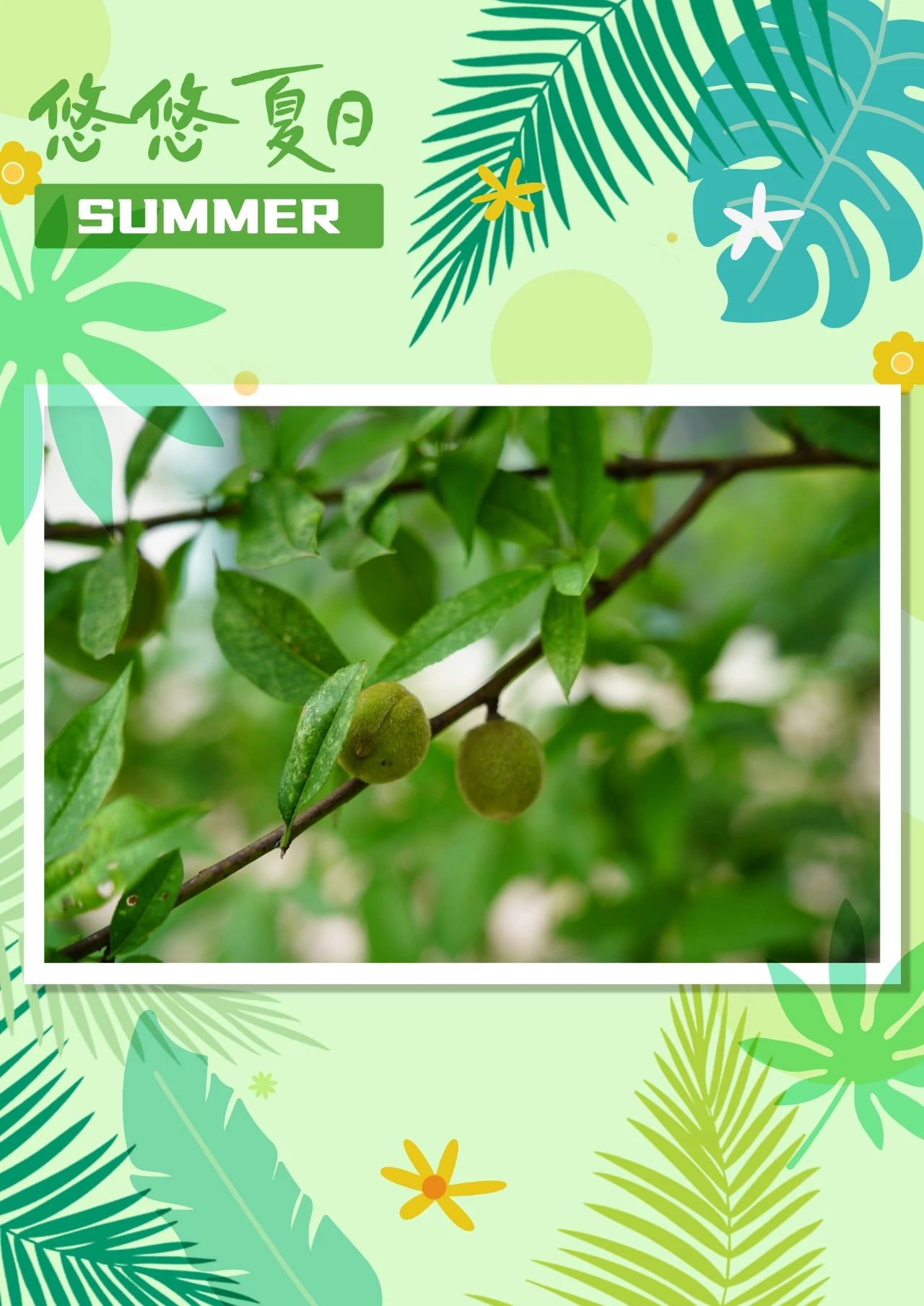 letou��Ͷ(LETOU)�ٷ���վ - ֵ�����ε�����Ʒ��