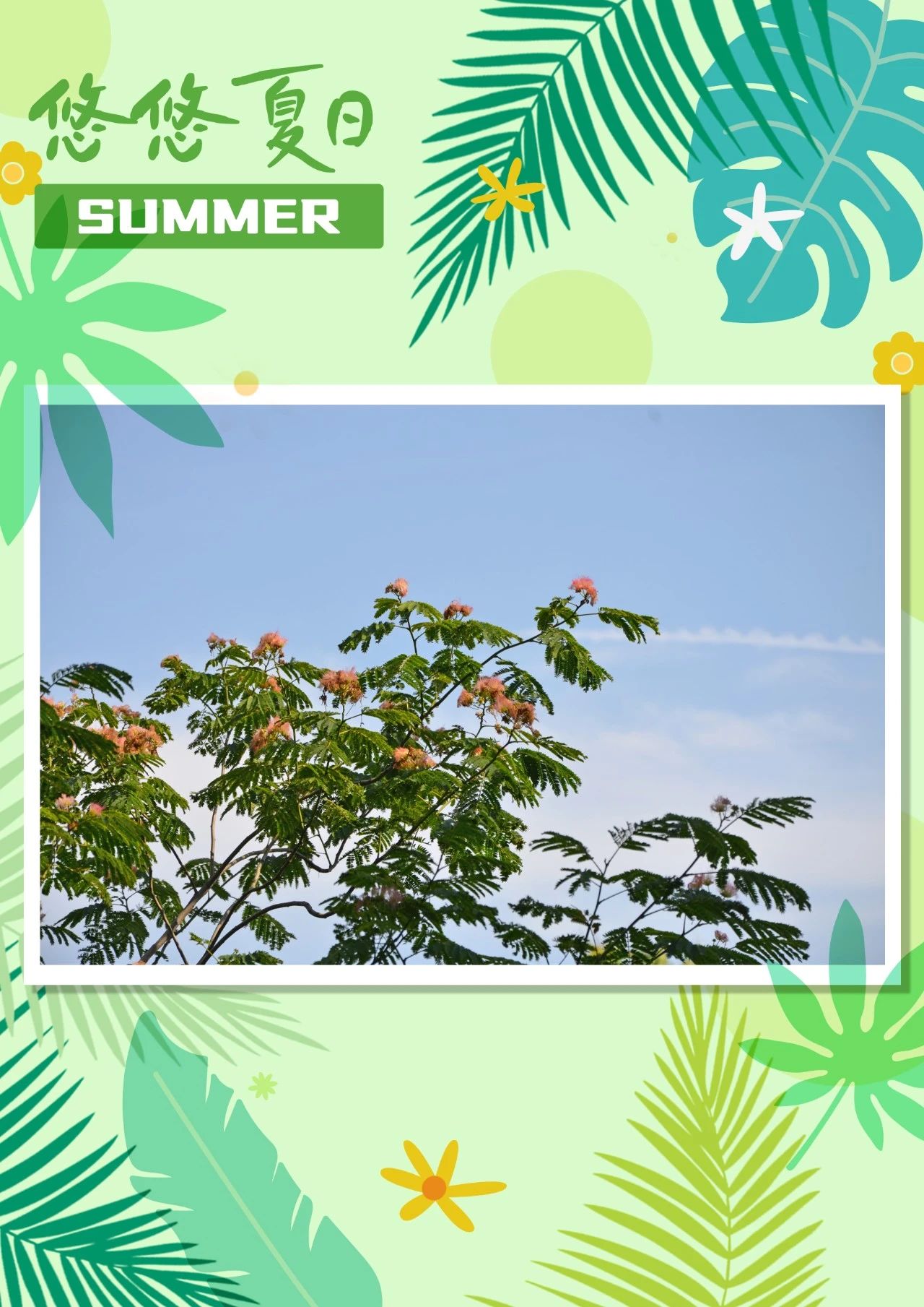letou��Ͷ(LETOU)�ٷ���վ - ֵ�����ε�����Ʒ��